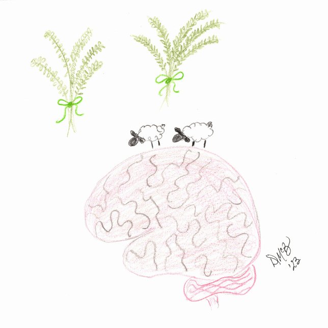 Denken Sie an Sie - Thyme... Ewe ist im Kopf Karte (Von Creator hochgeladen)