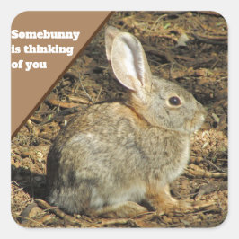 Denken Sie an Spaß Brown Bunny Foto Tier Quadratischer Aufkleber