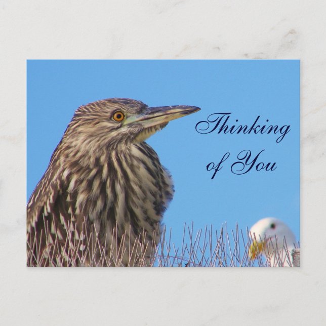 Denken Sie an you_Card Postkarte (Vorderseite)