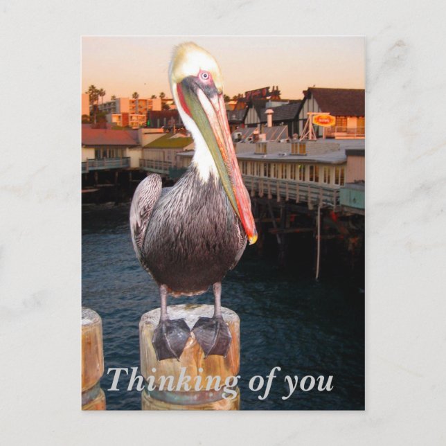 Denken Sie an you_Postcard Postkarte (Vorderseite)