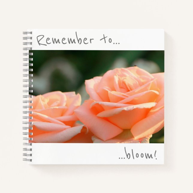 Denken Sie daran, Cream Rose Blume Notebook zu blü Notizbuch (Vorderseite)