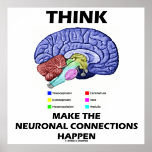 Denken Sie daran, dass die neuronalen Verbindungen Poster