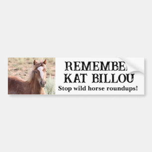 Denken Sie daran, Kat Billou Wild Horse Autoaufkleber