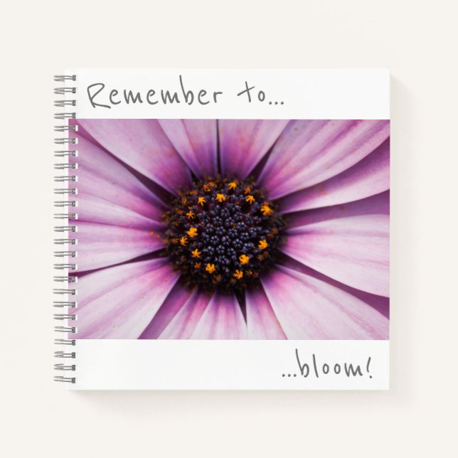 Denken Sie daran, Osteospermum Blume Notebook blüh Notizbuch (Vorderseite)