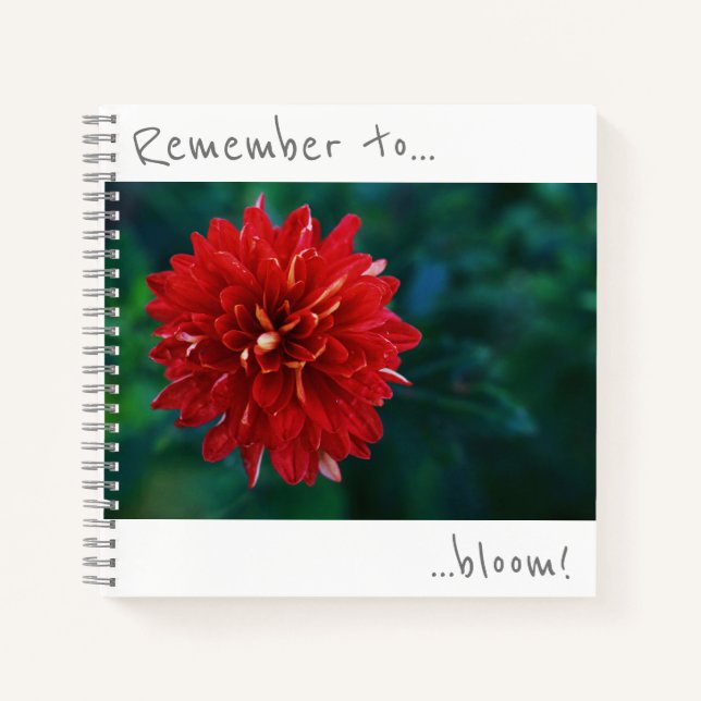 Denken Sie daran, Red Chrysanthemum Notebook zu bl Notizbuch (Vorderseite)