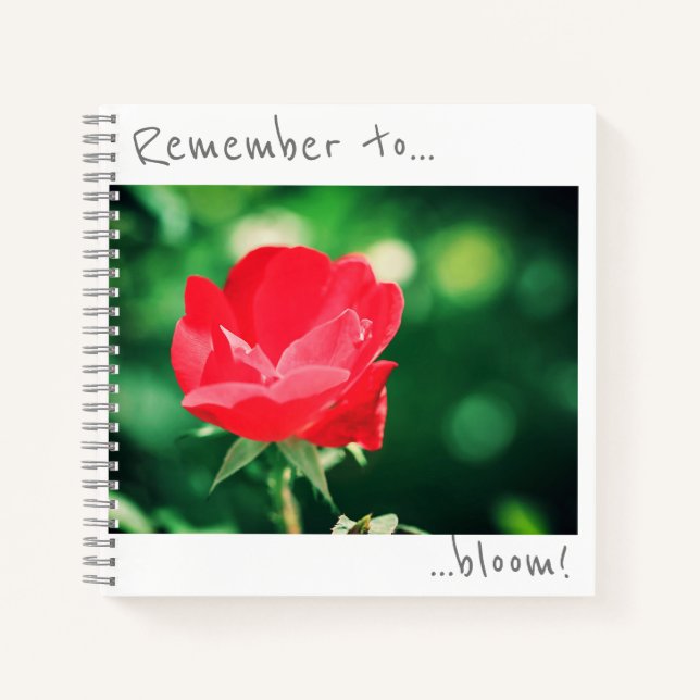 Denken Sie daran, Rote Rose Blume Notebook zu blüh Notizbuch (Vorderseite)