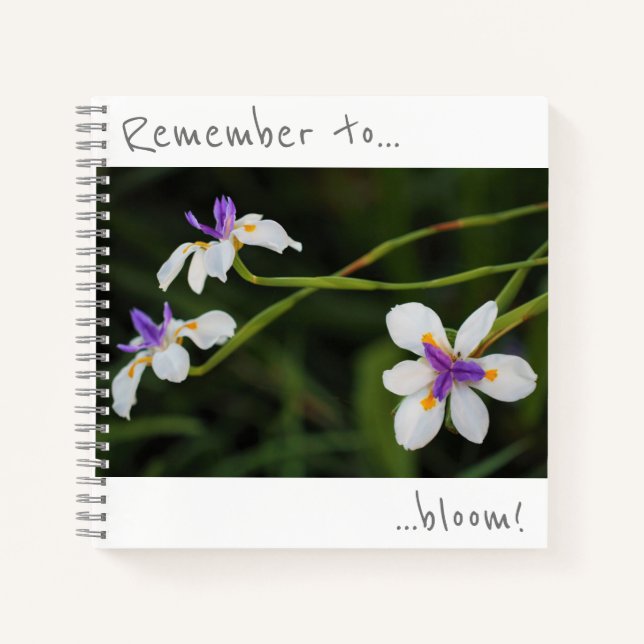 Denken Sie daran, Wild Iris Blume Notebook zu blüh Notizbuch (Vorderseite)