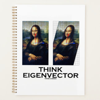 Denken Sie Eigenvektormathematik Beratung Mona Lis Planer