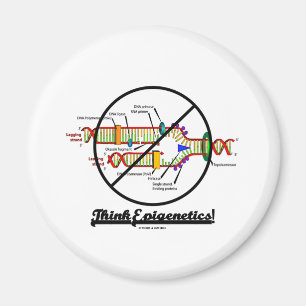 Denken Sie Epigenetics! (des Kreuz-Reproduktion Magnet