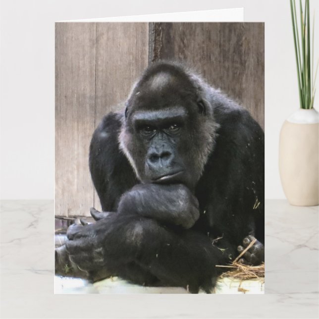 DENKEN SIE GORILLA FUNNY GREETING CARDS KARTE (Vorderseite)