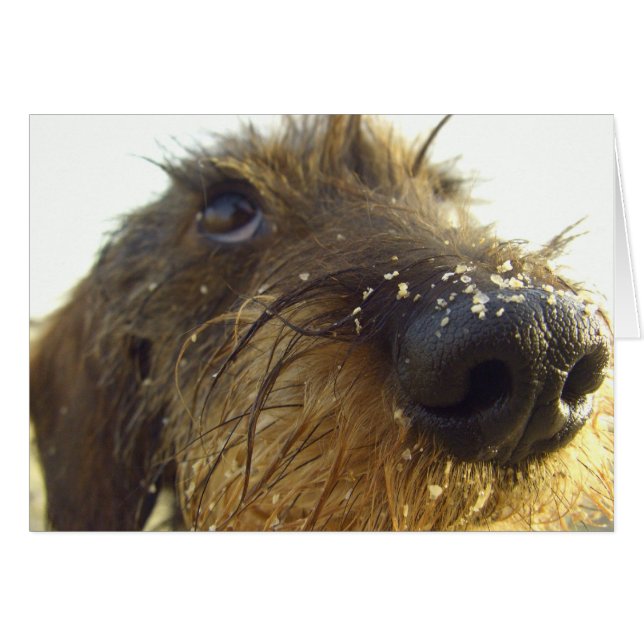 Denken Sie mal darüber nach... (Vorderseite (Horizontal))