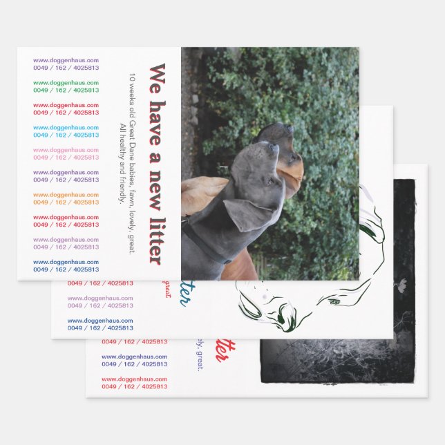 Denken Sie mit diesen Flyern außerhalb des Gehäuse Geschenkpapier Set (Set)