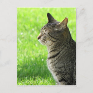 Denken ... von Ihnen ... Postkarte