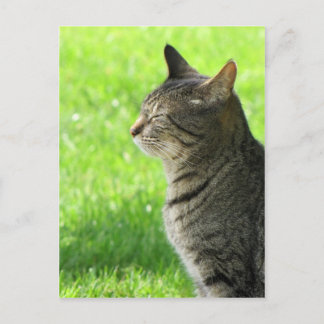 Denken ... von Ihnen ... Postkarte