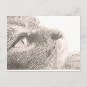 Denkfächer Postkarte