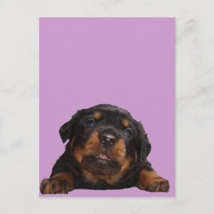 Denkfächer Postkarte