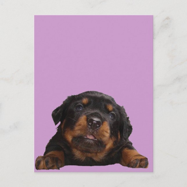 Denkfächer Postkarte (Vorderseite)