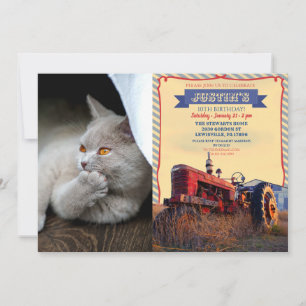 Denkkatze Einladung
