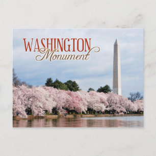 Denkmal von Washington mit Kirschblüten Postkarte