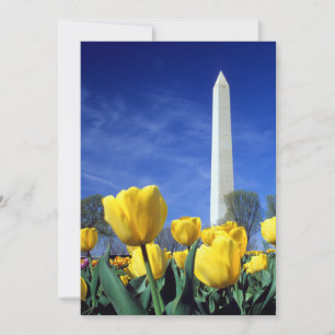 Denkmäler   Denkmal von Washington im Frühjahr Dankeskarte