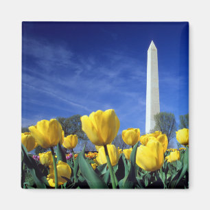 Denkmäler Denkmal von Washington im Frühjahr Magnet