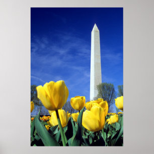Denkmäler   Denkmal von Washington im Frühjahr Poster