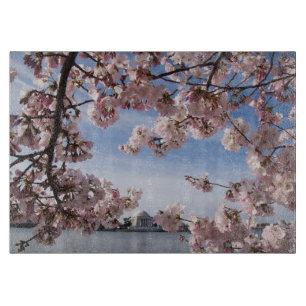 Denkmäler   Jefferson Memorial Cherry Blossys Schneidebrett