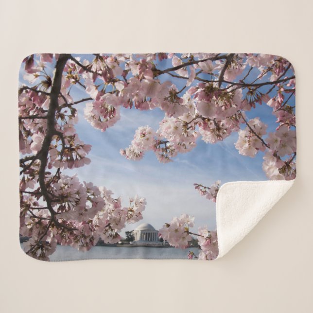 Denkmäler | Jefferson Memorial Cherry Blossys Sherpadecke (Vorderseite (Horizontal))