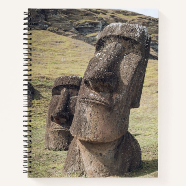 Denkmäler | Osterinsel, Chile Notizbuch (Vorderseite)
