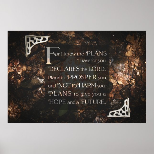 Denn ich kenne die Pläne, die ich für Sie habe Poster (Vorne)