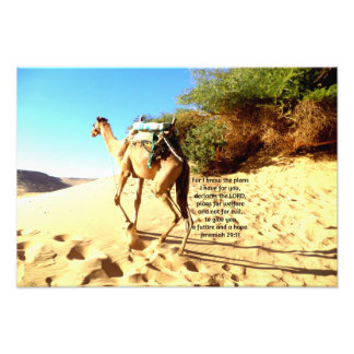 Denn ich weiß, die Pläne habe ich .... Jeremiah 29 Fotodruck