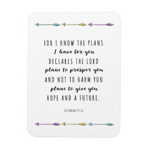 Denn ich weiß, ich habe Pläne für Sie Magnet