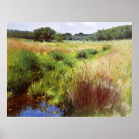 Dennis Miller Bunker's Marshland, Medfield
