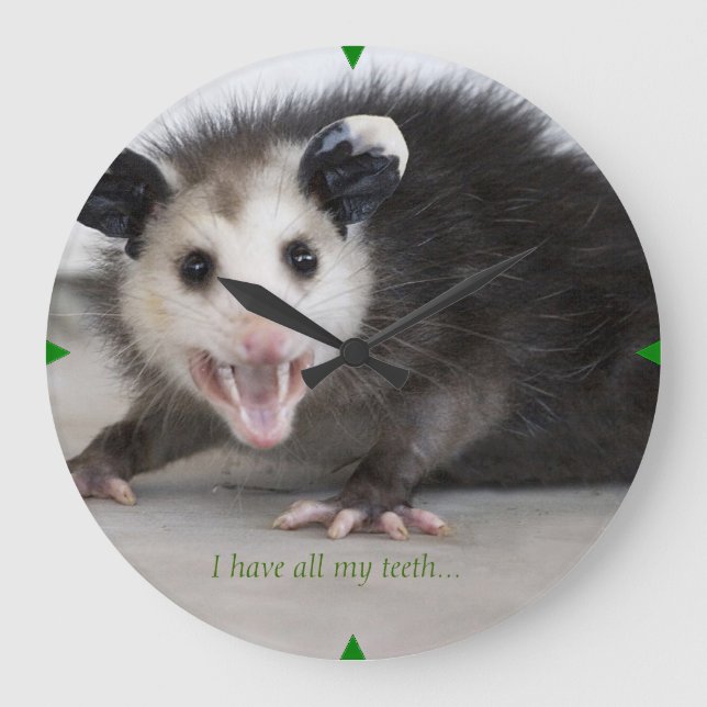 Dentalbüro - lustige Opossum-Foto-Wanduhr Große Wanduhr (Vorderseite)