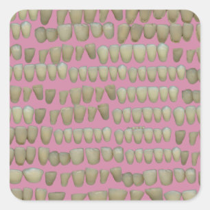 DENTIST DENTISTRY ORTHODONTICS ROTTEN TEETH MOUTH QUADRATISCHER AUFKLEBER