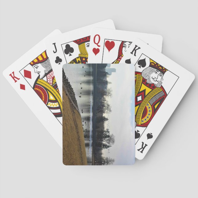 Denver City Park, Denver, Colorado Spielkarten (Rückseite)