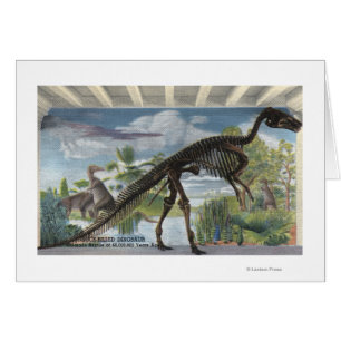 Denver, Colorado - Museum der Naturgeschichte