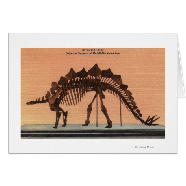 Denver, Colorado - Museum für Naturgeschichte 2 (Vorderseite (Horizontal))