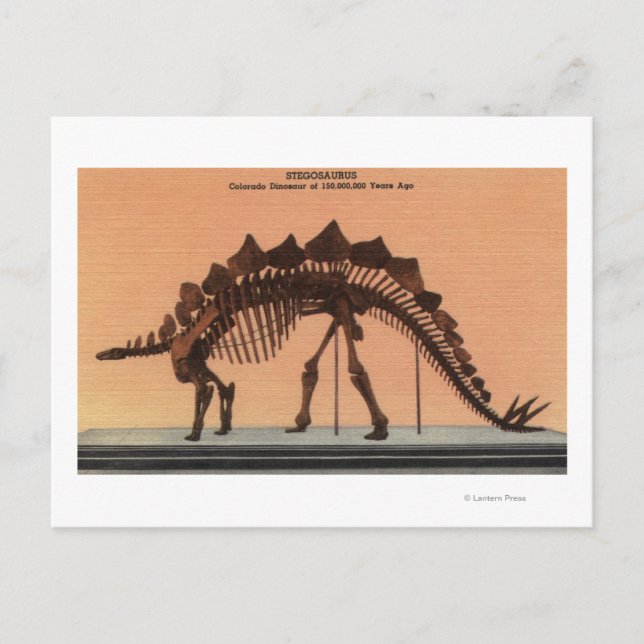 Denver, Colorado - Museum für Naturgeschichte 2 Postkarte (Vorderseite)