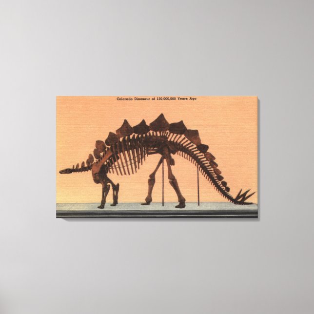 Denver, Colorado - Museum für Naturgeschichte Leinwanddruck (Vorderseite)