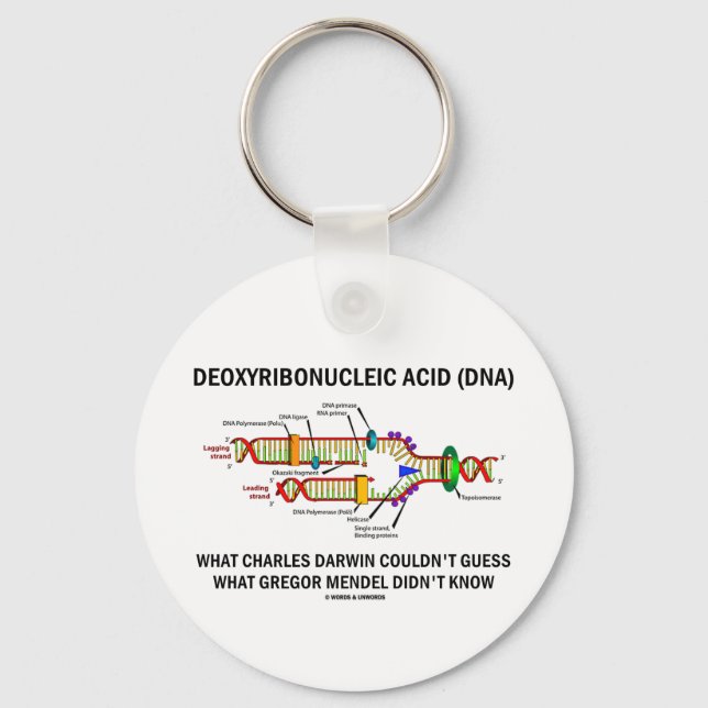 Deoxyribonucelsäure (DNA) Mendel Darwin Schlüsselanhänger (Vorderseite)