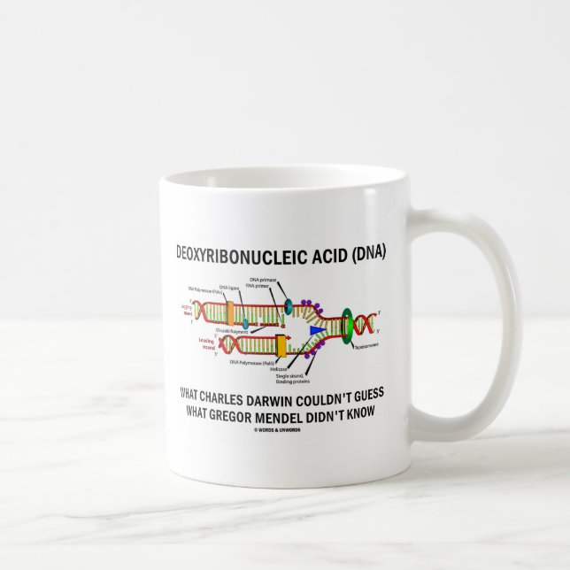 Deoxyribonucelsäure (DNA) Mendel Darwin Tasse (Rechts)