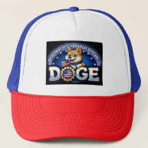 Department of Government Efficiency (DOGE)