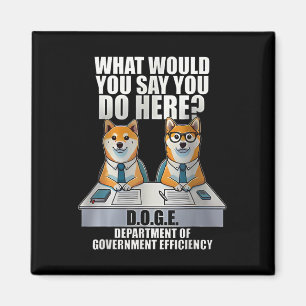Department of Government Efficiency Magnet