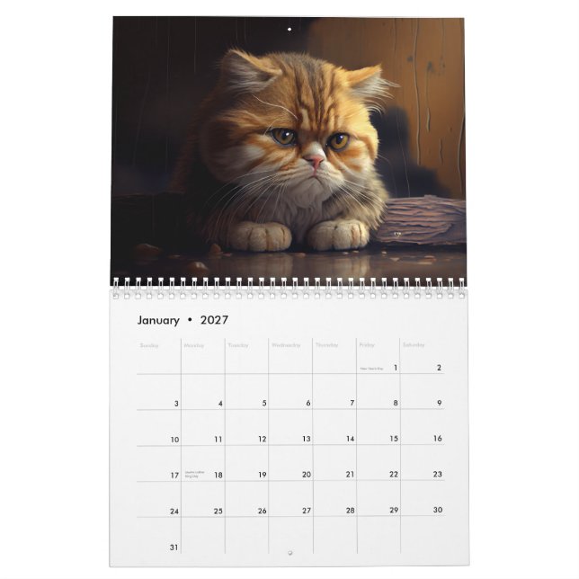 Depressive Katzen - Kalender 2024 (Jan 2027)