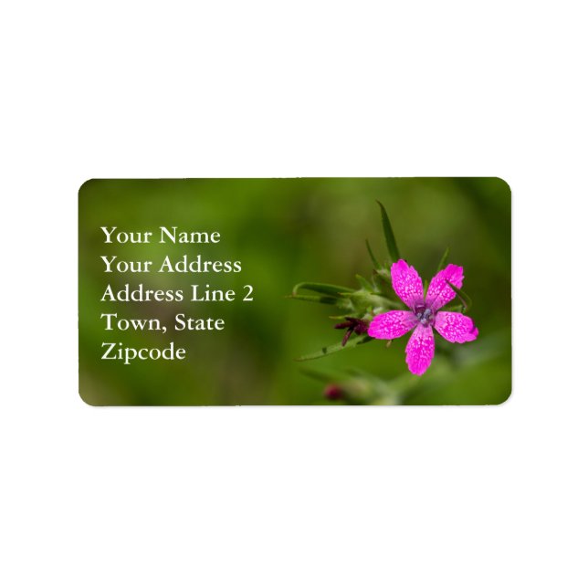 Deptford Pink Wildblume Floral Labels Adressaufkleber (Vorne)