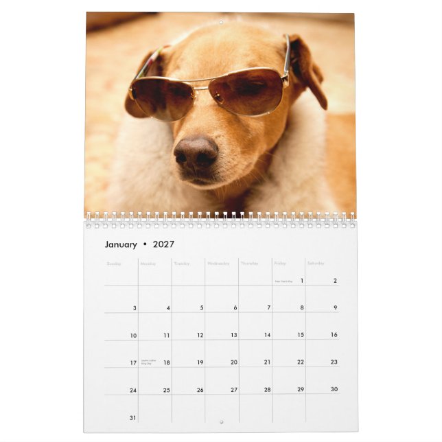 Der 2013 Klemmen-Kalender Kalender (Jan 2027)