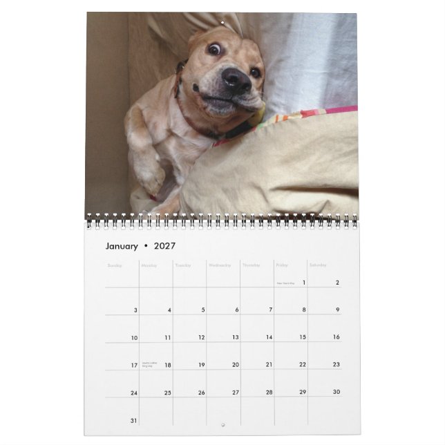 Der 2013 "mein HundeDolch-" Kalender (Jan 2027)