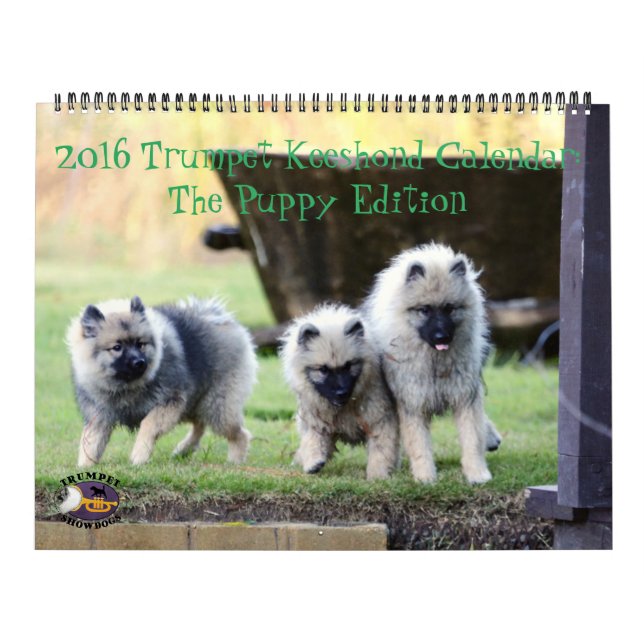 Der 2016 Trompetekeeshond-Kalender: Welpen-Ausgabe Kalender (Titelbild)