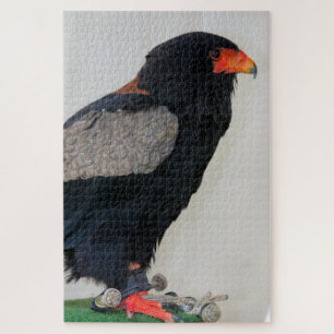 Der Adler Bateleur Puzzle